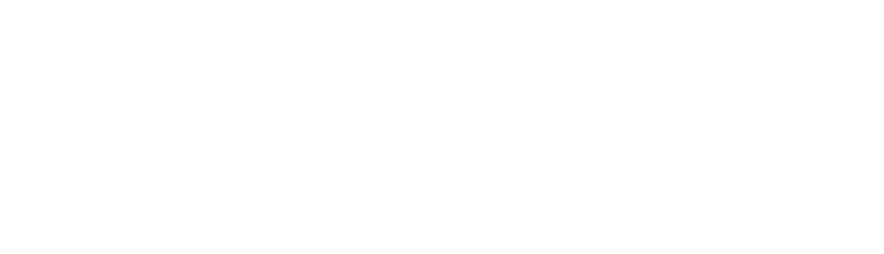 Érica Panzani
